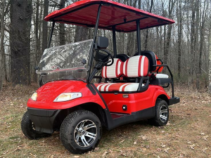 golf cart rental sunny isles beach, sunny isles beach golf cart